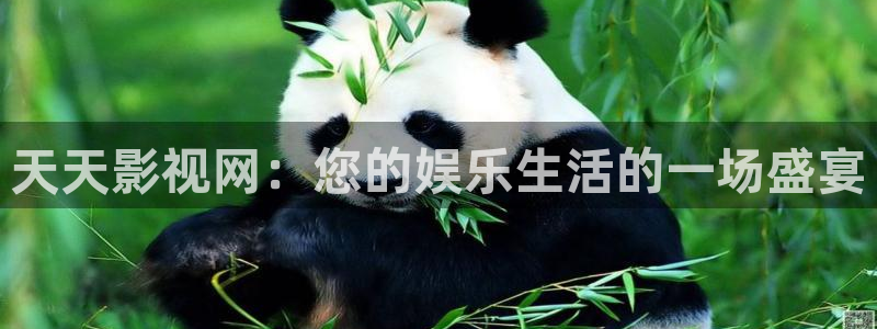 天狼影院2022电视剧：天天影视网：您的娱乐生活的一场盛宴