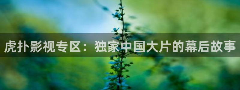 韩国三级在线观看天狼影院：虎扑影视专区：独家中国大片的幕后故事