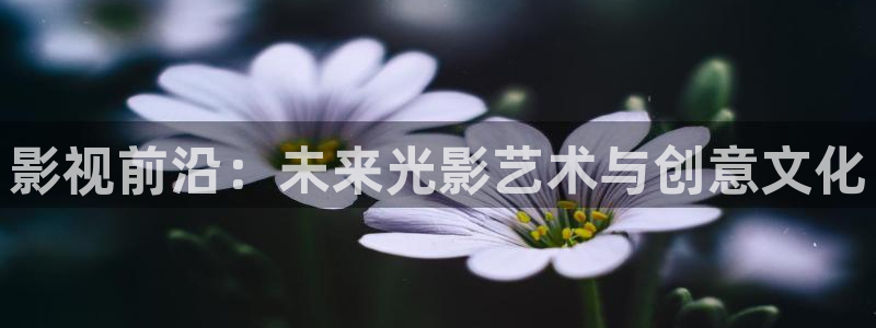 天狼影院bd：影视前沿：未来光影艺术与创意文化