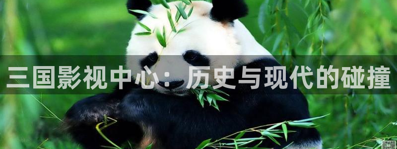 手机天狼影院：三国影视中心：历史与现代的碰撞