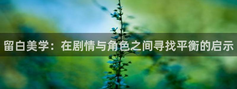 天狼 电影：留白美学：在剧情与角色之间寻找平衡的启示