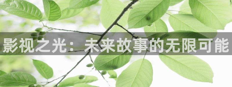 天狼影院2025年最新电影在线观看：影视之光：未来故事的无限可能