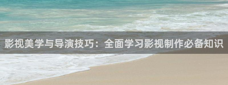 天狼 影院：影视美学与导演技巧：全面学习影视制作必备知识
