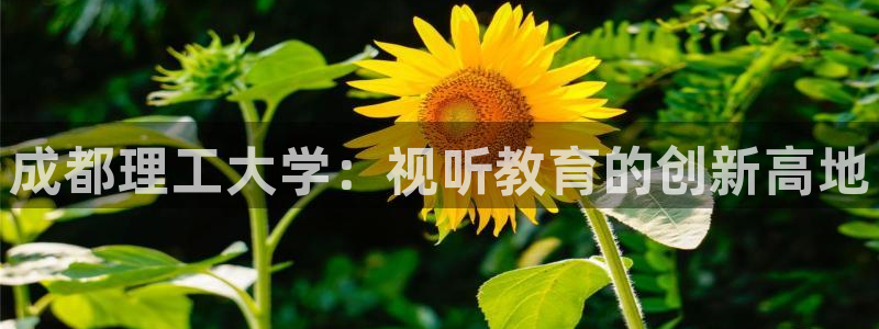 天狼天天影院：成都理工大学：视听教育的创新高地