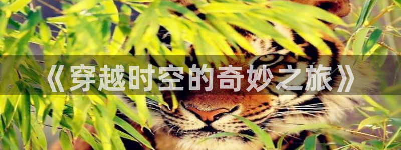 天狼影院色戒：《穿越时空的奇妙之旅》