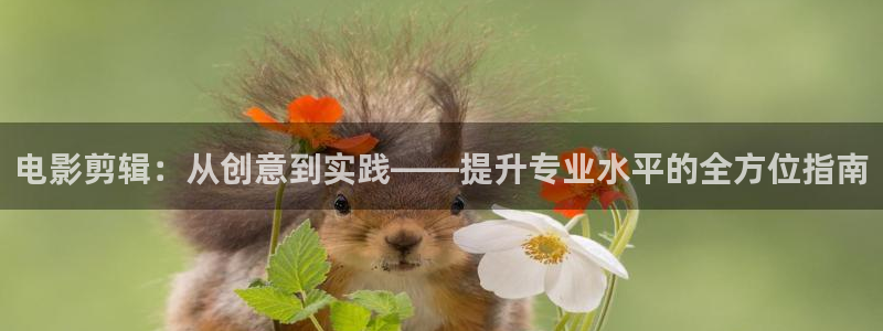 天狼在线影院观看：电影剪辑：从创意到实践——提升专业水平的全方位指南